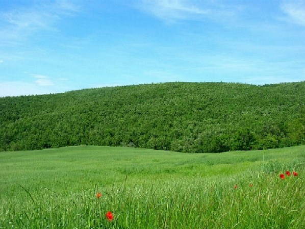 Casacalenda - Molise